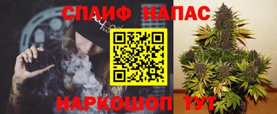 таблы Кингисепп