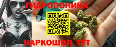 скорость Кимры